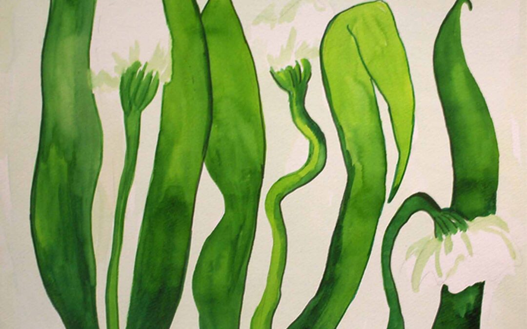 Gwendolyn McShepard Art Floral Salsa