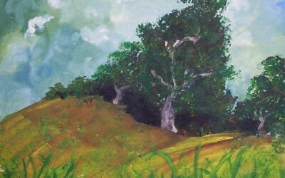 LANDSCAPES